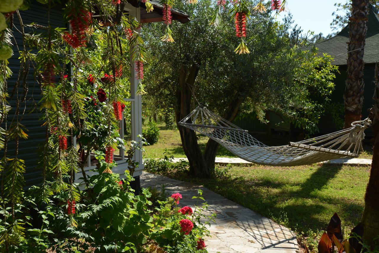 Arcadia Hotel Çıralı Exterior foto